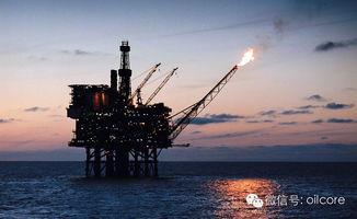 南非大炮爆料最新消息,揭秘重大国际事件内幕